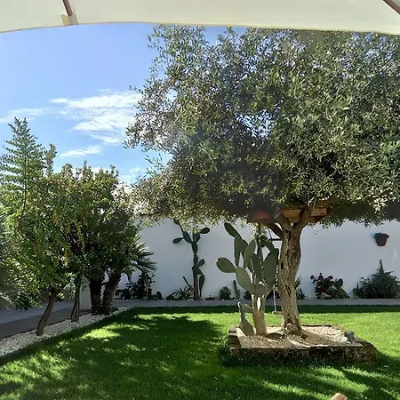 Guest house Sa Cottilla 3*